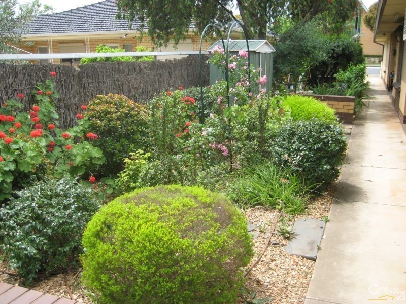 4/203 Portrush Road, Maylands SA 5069