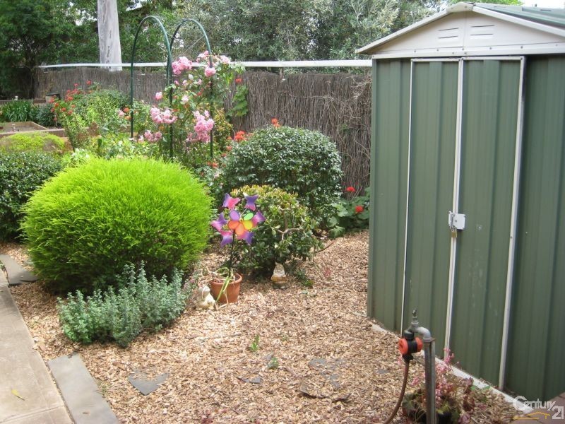 4/203 Portrush Road, Maylands SA 5069