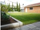 153 Morgan Avenue, Melrose Park SA 5039