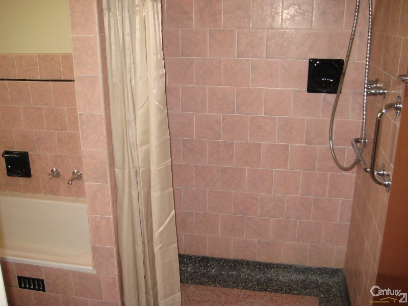 11 Almond Avenue, Glynde SA 5070