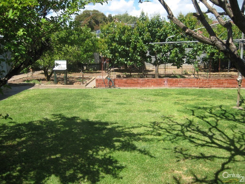 11 Almond Avenue, Glynde SA 5070