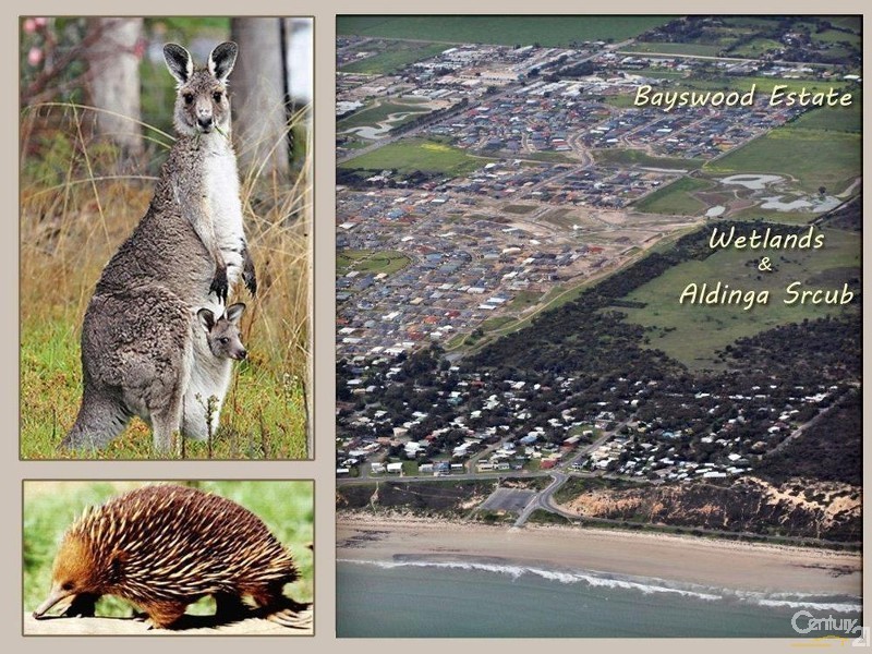 Lot 301 Emerald Boulevard, Aldinga Beach SA 5173