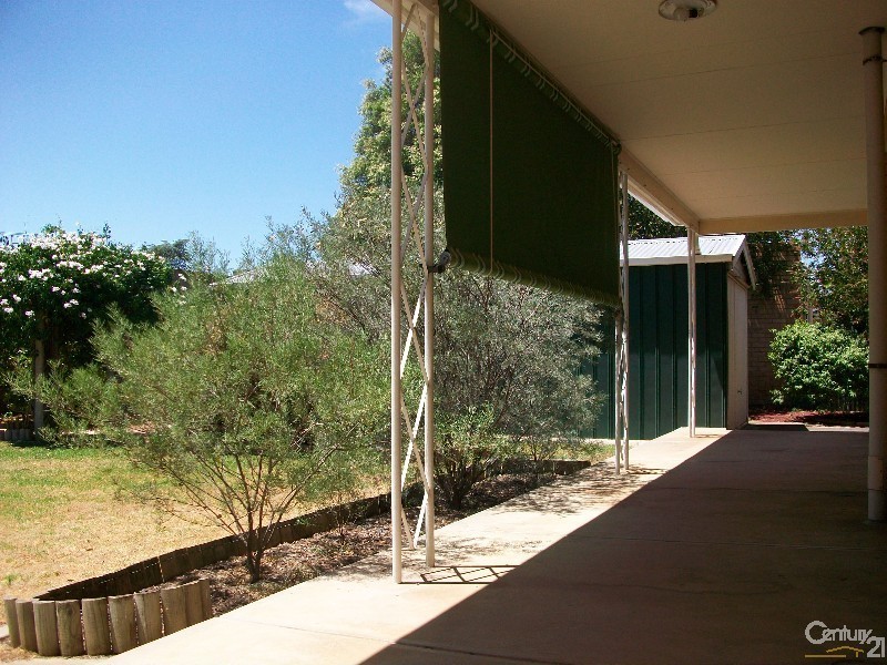 17 Barker Street, South Plympton SA 5038