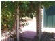 17 Barker Street, South Plympton SA 5038