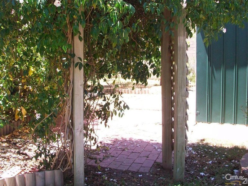 17 Barker Street, South Plympton SA 5038