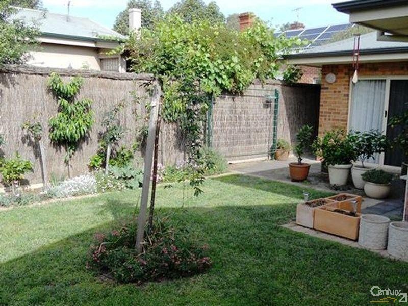 55a East Avenue, Clarence Park SA 5034