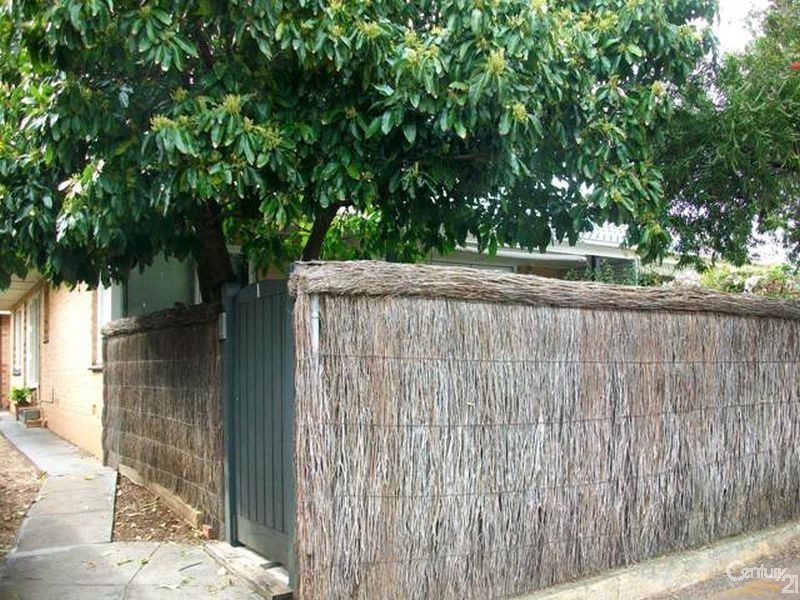 3/7a Nelson Street, Fullarton SA 5063