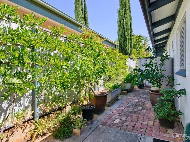 6/33 Hill Avenue, Cumberland Park SA 5041