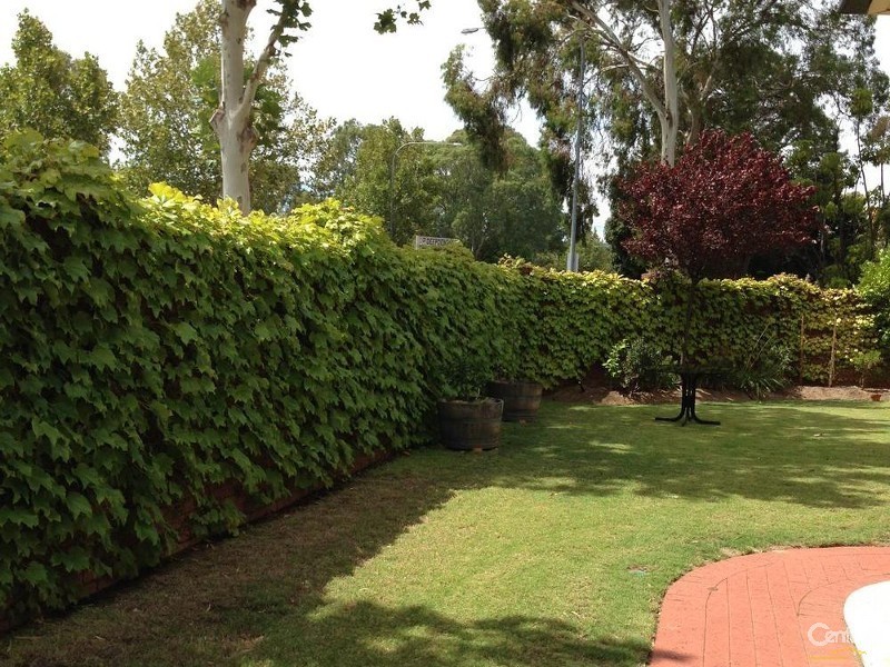 2/2a Deepdene Avenue, Westbourne Park SA 5041