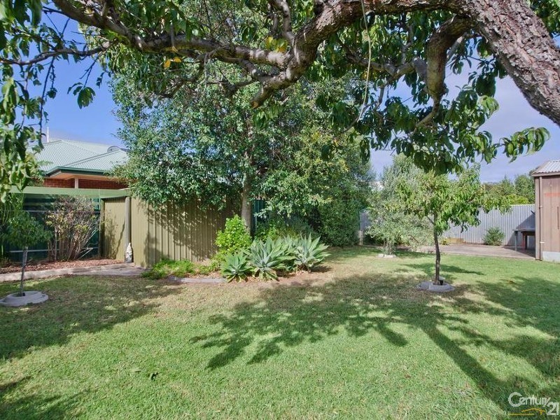 207 Daws Road, Pasadena SA 5042