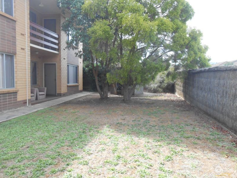 6/115 Gage Street, Firle SA 5070