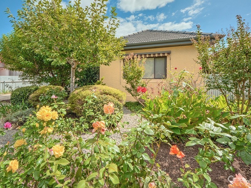19 Lindsay Street, Camden Park SA 5038