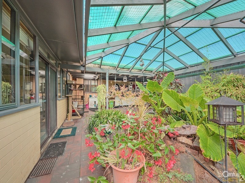 19 Lindsay Street, Camden Park SA 5038