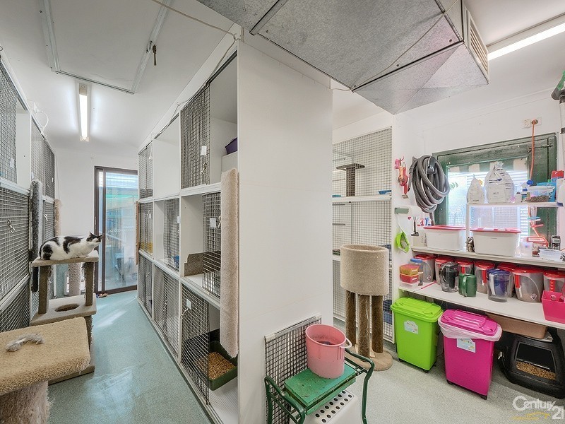 19 Lindsay Street, Camden Park SA 5038