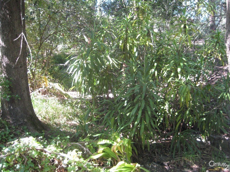 18 Gladstone Road, Blackwood SA 5051