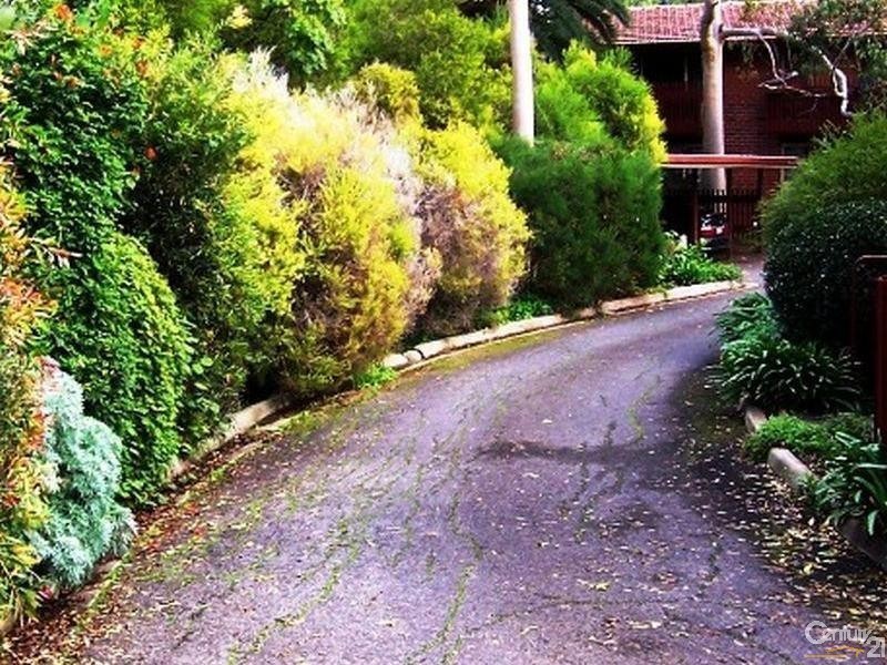 3/36 Trevelyn Street, Wayville SA 5034