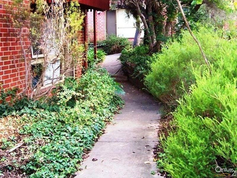 3/36 Trevelyn Street, Wayville SA 5034