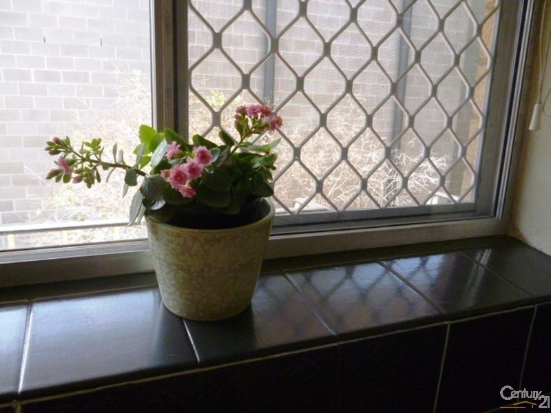 5/131 Greenhill Road, Unley SA 5061