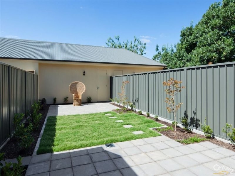 35 Kenilworth Road, Parkside SA 5063