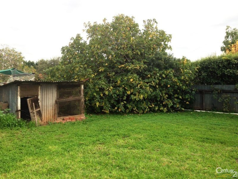 6 Martlesham Crescent, Colonel Light Gardens SA 5041