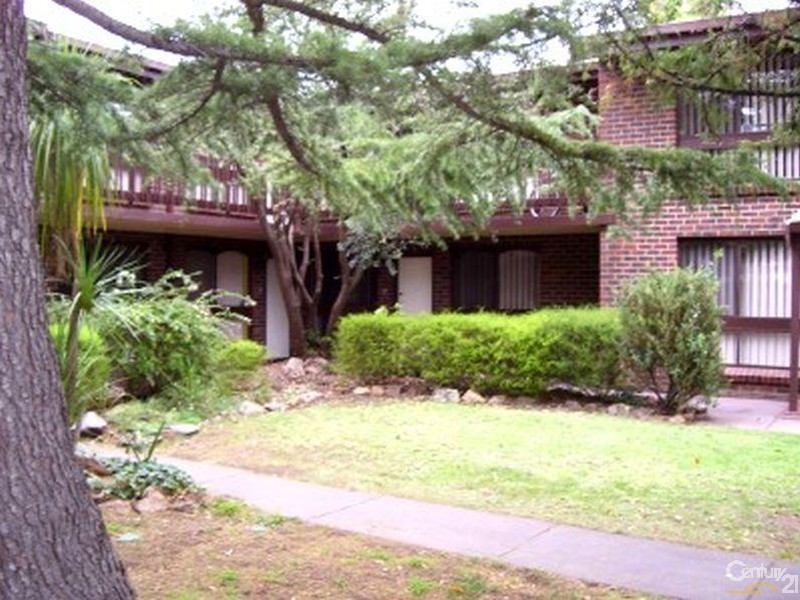 7/11 Erskine Street, Goodwood SA 5034