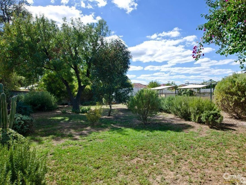 59 Scottish Avenue, Clovelly Park SA 5042
