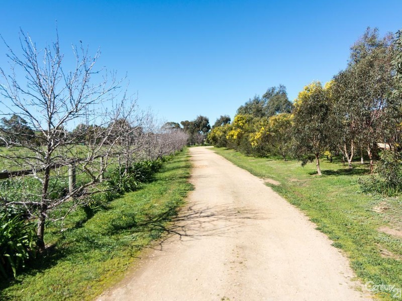 181D Lines Road, Strathalbyn SA 5255