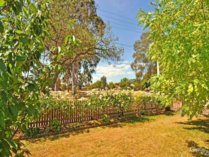 18 Day Avenue, Daw Park SA 5041