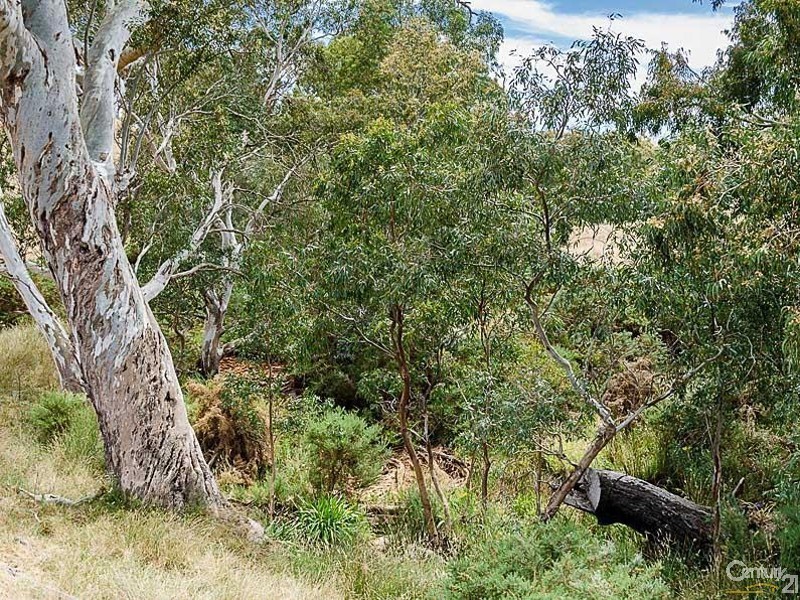 483 Ironstone Range Road, Petwood SA 5254