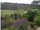 259 Junction Road, Balhannah SA 5242