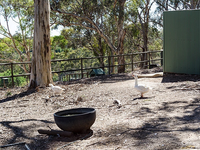 259 Junction Road, Balhannah SA 5242