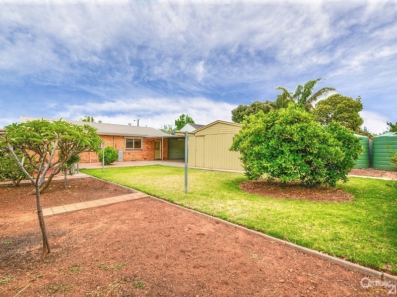 3 Douglas Street, Marion SA 5043