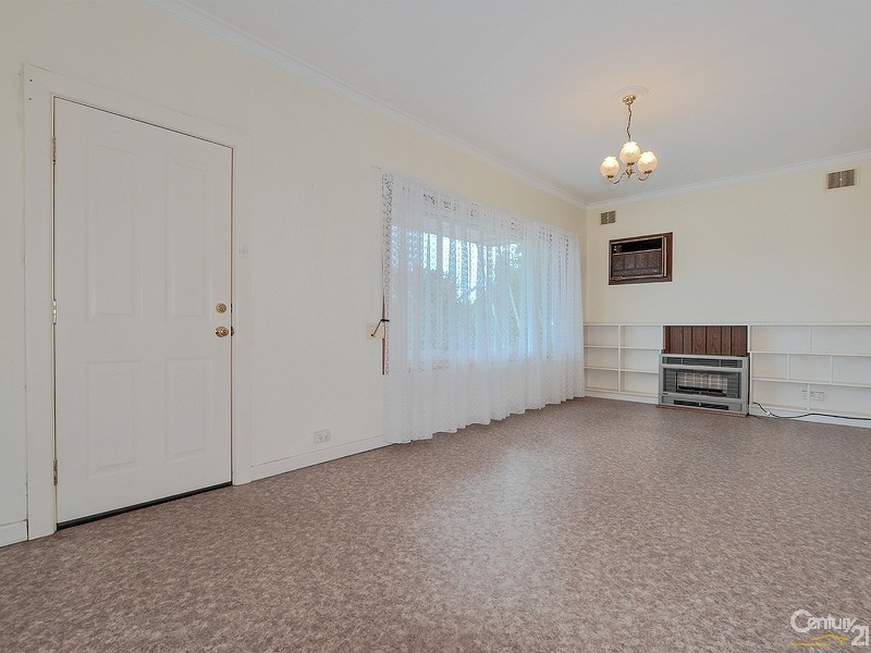 3 Douglas Street, Marion SA 5043