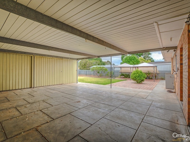 3 Douglas Street, Marion SA 5043