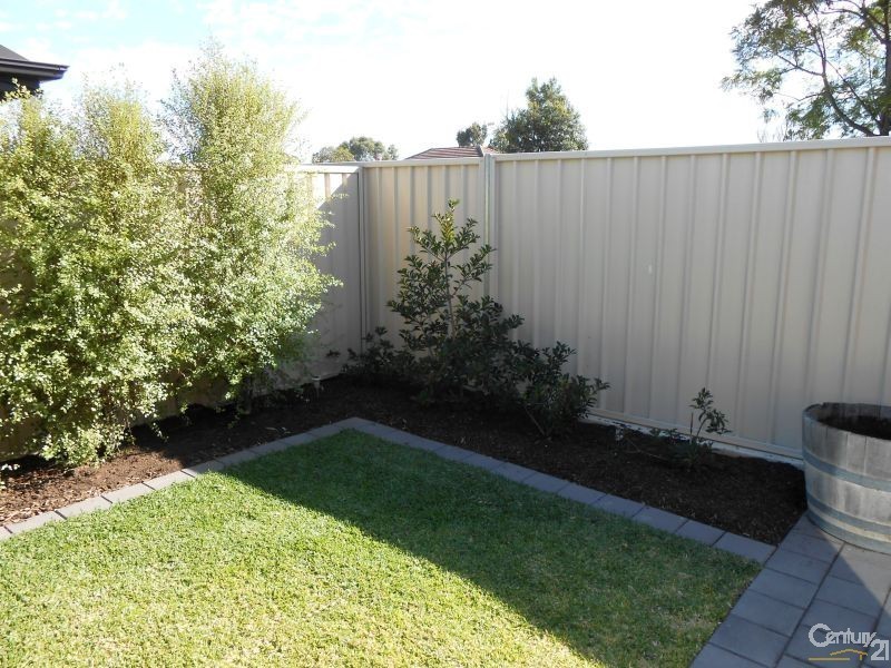 34 Beauchamp Street, Kurralta Park SA 5037
