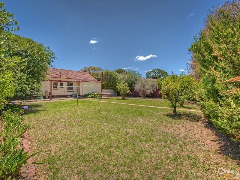 6 Grantley Avenue, Daw Park SA 5041