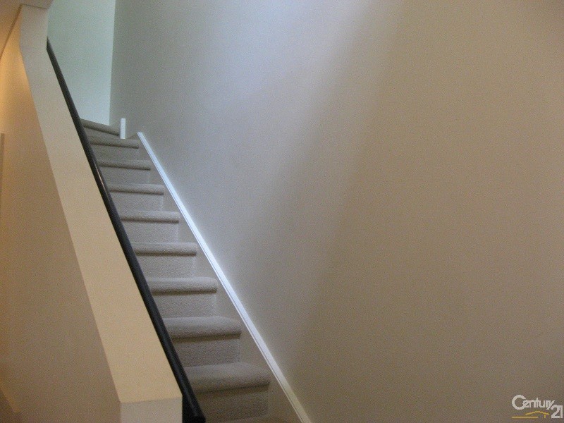 3 Sparman Close, Adelaide SA 5000