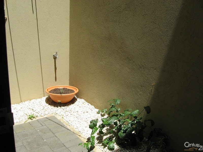 3 Sparman Close, Adelaide SA 5000