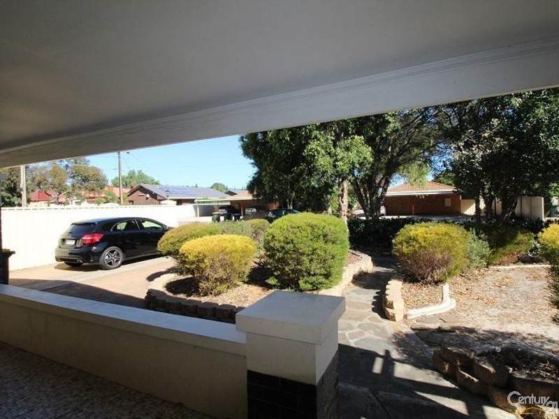 66 Dudley Avenue, Daw Park SA 5041