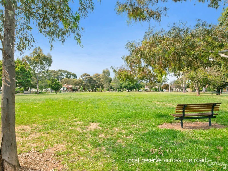 20 Grantley Avenue, Daw Park SA 5041