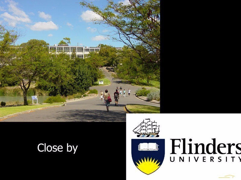 419 Diagonal Road, Sturt SA 5047