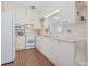 55 Scottish Avenue, Clovelly Park SA 5042