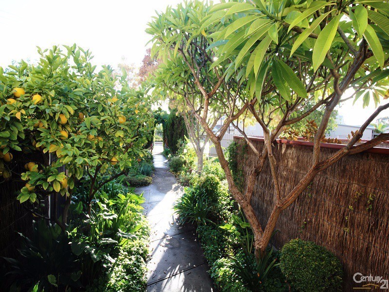 6/29 Kintore Avenue, Kilburn SA 5084