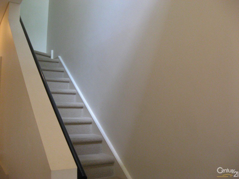3 Sparman Close, Adelaide SA 5000