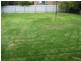 17 Mathias Avenue, Cumberland Park SA 5041