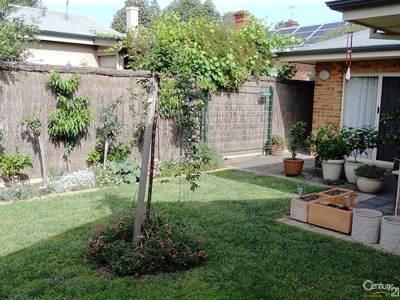 55A East Avenue, Clarence Park SA 5034