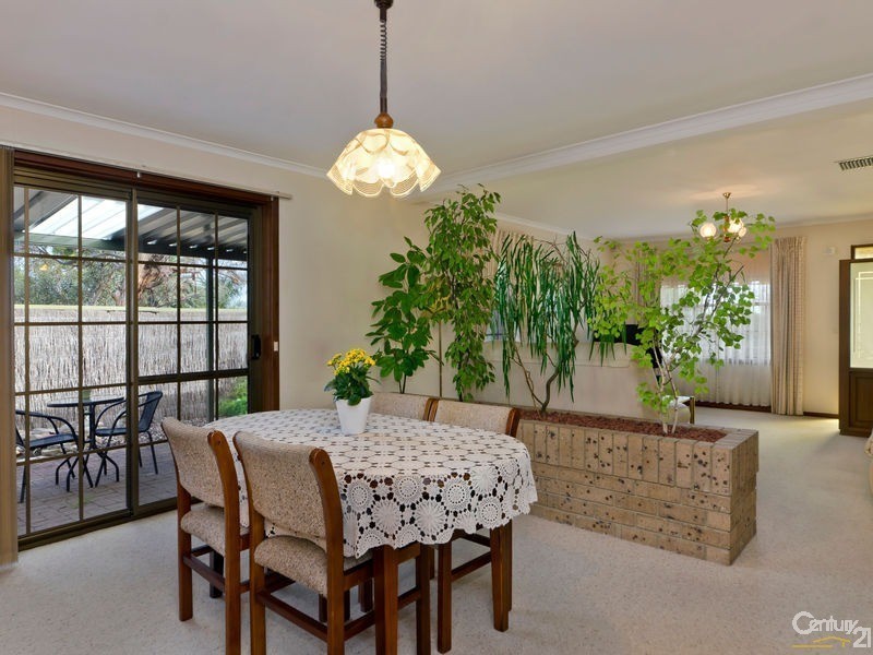 17 Fitzgerald Road, Pasadena SA 5042