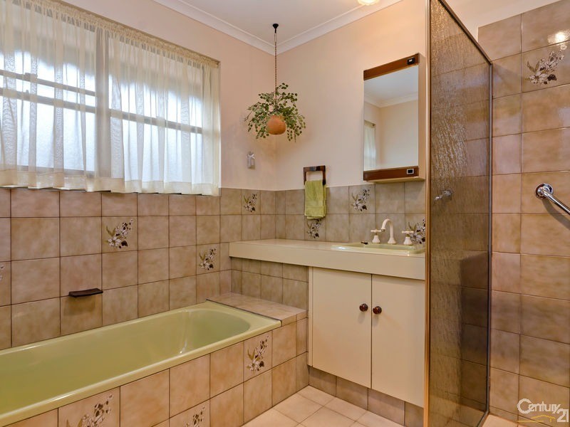 17 Fitzgerald Road, Pasadena SA 5042