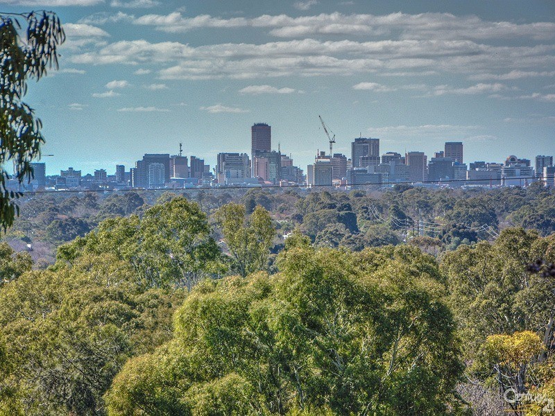 3 Crescent Avenue, Panorama SA 5041