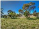 3 Crescent Avenue, Panorama SA 5041